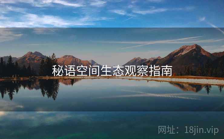 秘语空间生态观察指南 第2张 秘语空间生态观察指南 第2张