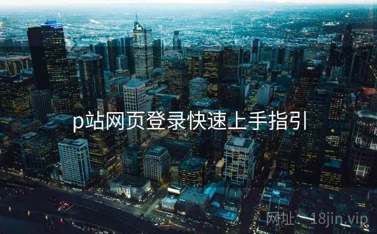 p站网页登录快速上手指引  第1张