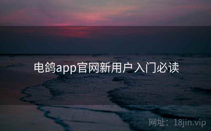 电鸽app官网新用户入门必读 第1张 电鸽app官网新用户入门必读 第1张