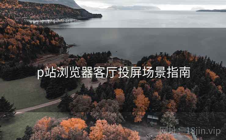 p站浏览器客厅投屏场景指南 第1张 p站浏览器客厅投屏场景指南 第1张